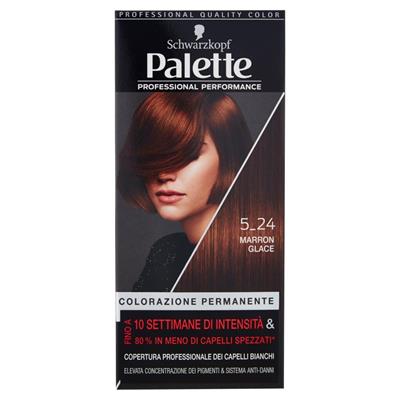 PALETTE COLORAZIONE CAPELLI 20 5-24 MARRON GLACE 2T3 115ML 115ml