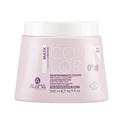 ALAMA COLOR MASCHERA MANTENIMENTO COLORE 500ML