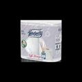 TENDERLY CARTA IGIENICA BREEZE 4ROTOLI MAXI 2VELI 350STR