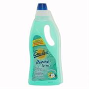 EMULSIO DETERGENTE RAVVIVA GRES 750ML