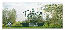 TUSCANY FAZZOLETTI 4X9X10 LOZIONATO