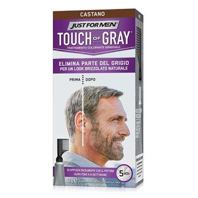 TOUCH OF GRAY CASTANO BRIZZOLATO 40ML