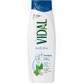 VIDAL SHAMPOO ANTIFORFORA 250 ML