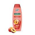 PALMOLIVE SHAMPOO 2 IN 1 350ML