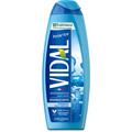 VIDAL BAGNOSCHIUMA POLAR ICE 500 ML