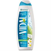 VIDAL BAGNOSCHIUMA COCONUT WATER 500 ML