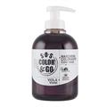 SOS COLOR&GO MASCHERA COLORANTE VIOLA 300ML